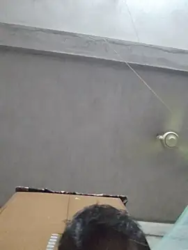 Snapshot of birds0641 chatting on 10-12-25, 05:56 birds0641 online show from 10-12-25, 05:56