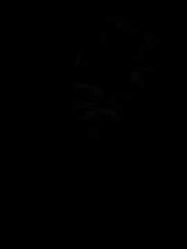 jhonnes  online show from 01-11-26, 03:33