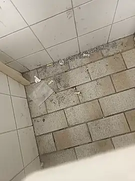 wadmma online show from 11-19-25, 08:47