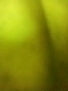 alicnonave online show from 11-27-25, 12:02