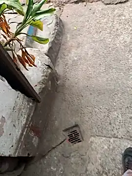 Snapshot of sethgamble000777 chatting on 12-20-25, 09:05 sethgamble000777 online show from 12-20-25, 09:05