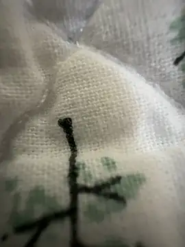 sissyboijamie1313 online show from 02-28-26, 08:54