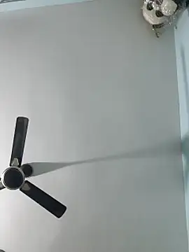 Babybird online show from 02-10-25, 08:42