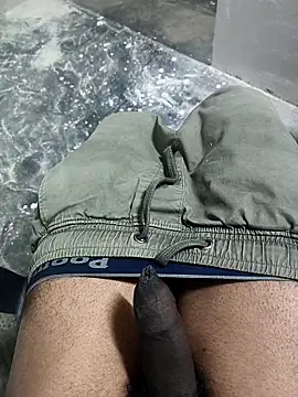 Snapshot of omni_333 chatting on 01-19-26, 04:33 omni 333 online show from 01-19-26, 04:33