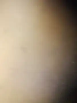 Snapshot of Crowlers chatting on 03-16-25, 12:01 Crowlers online show from 03-16-25, 12:01