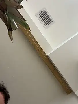 Snapshot of Bicho13132 chatting on 10-05-25, 06:23 Bicho13132 online show from 10-05-25, 06:23