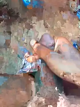 cumcum94 online show from 04-21-26, 05:25