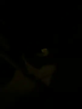 Snapshot of sark0606 chatting on 02-06-25, 04:58 sark0606 online show from 02-06-25, 04:58