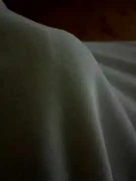 Snapshot of Arabian chatting on 02-17-25, 08:47 Arabian online show from 02-17-25, 08:47