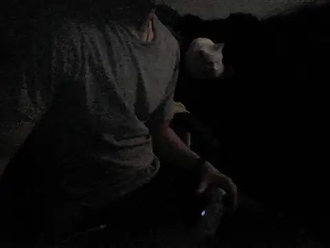 Snapshot of MarioKnero chatting on 02-26-26, 09:52 MarioKnero online show from 02-26-26, 09:52