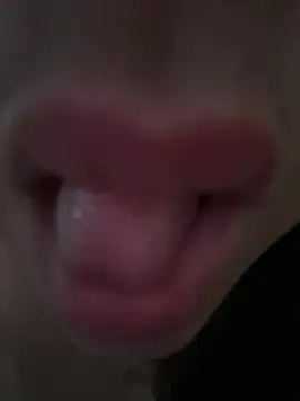 daianaspencer online show from 04-13-26, 06:08