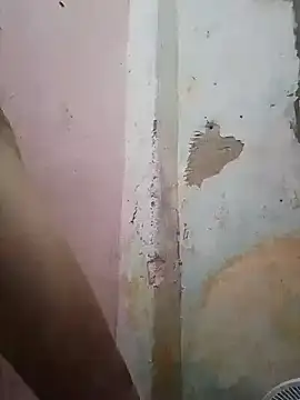 shuelldin online show from 02-13-25, 11:50