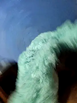 Caing23 online show from 02-27-26, 03:17