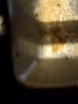 Loly2025 online show from 02-20-25, 02:35