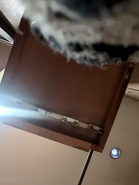 Snapshot of QueenM3 chatting on 03-11-25, 12:44 QueenM3 online show from 03-11-25, 12:44