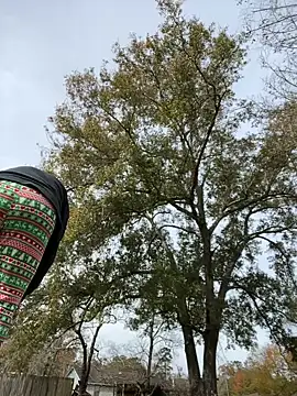 HTXBELLE online show from 12-16-25, 05:07