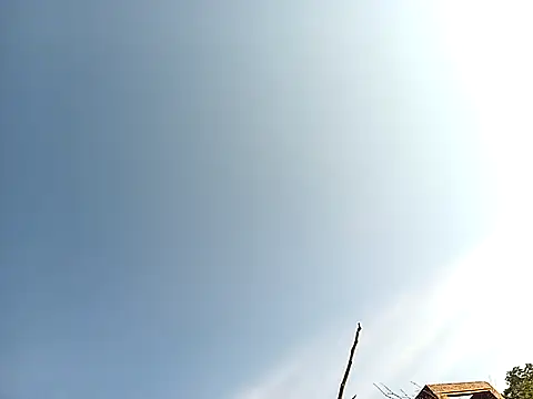 lilpip online show from 11-27-25, 04:03