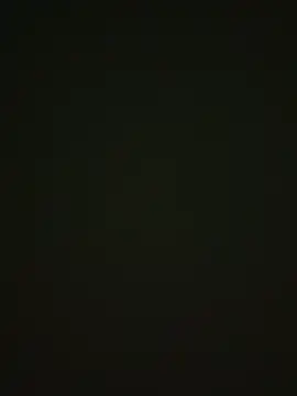 Snapshot of 464a-err chatting on 11-12-25, 04:40 464a-err online show from 11-12-25, 04:40