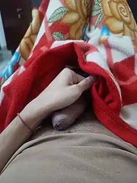 Delhi BoyBigcock online show from 11-10-25, 04:28