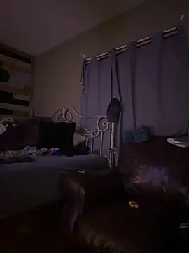 Polaroid White online show from 03-04-25, 06:47