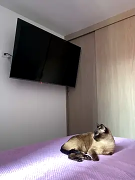 AshleyG 222 online show from 12-17-25, 04:46