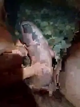 Luis katya online show from 02-10-26, 01:32