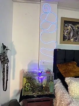 CRAZY-BOY99 online show from 12-16-25, 11:04