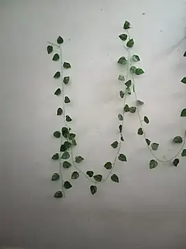 Neha-Bhabhi-Rasily online show from 02-14-26, 04:42