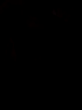 Snapshot of viviksmel chatting on 10-25-25, 11:51 viviksmel online show from 10-25-25, 11:51