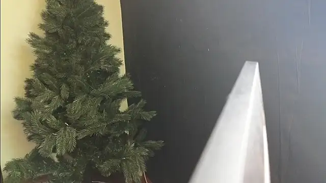 Snapshot of Maya_Mayflower chatting on 03-04-25, 12:12 Maya Mayflower online show from 03-04-25, 12:12