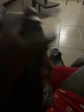 Snapshot of Goodball88 chatting on 02-28-26, 03:07 Goodball88 online show from 02-28-26, 03:07