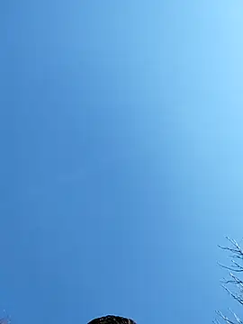 Anthopassif84 online show from 03-17-25, 03:18