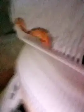 Snapshot of patrona_sexooo chatting on 10-11-25, 12:58 patrona sexooo online show from 10-11-25, 12:58