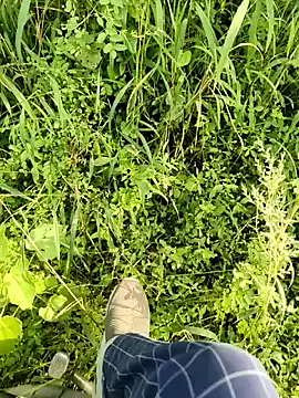 himvilohi08 online show from 10-11-25, 10:03