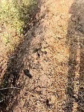 himvilohi08 online show from 02-28-26, 03:07