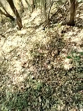 himvilohi08 online show from 03-22-26, 07:12