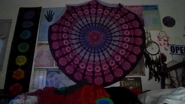 GardeniaFields online show from 03-02-26, 09:16