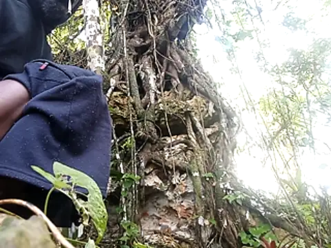 rasvinchi online show from 03-29-26, 11:54