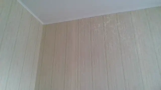  Black-Panther  online show from 02-11-26, 09:58