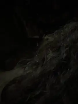 aa520uv online show from 02-05-26, 12:43