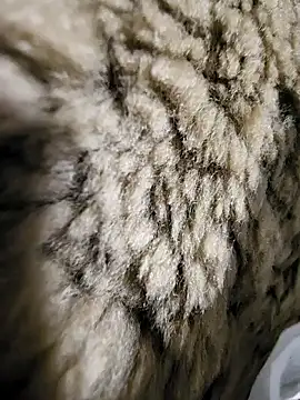 Snapshot of ikeike-kun chatting on 12-02-25, 01:33 ikeike-kun online show from 12-02-25, 01:33