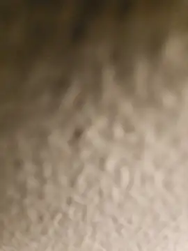 ikeike-kun online show from 04-08-26, 02:44