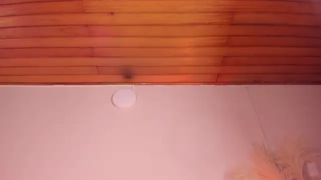 viol collins   online show from 03-22-25, 12:14