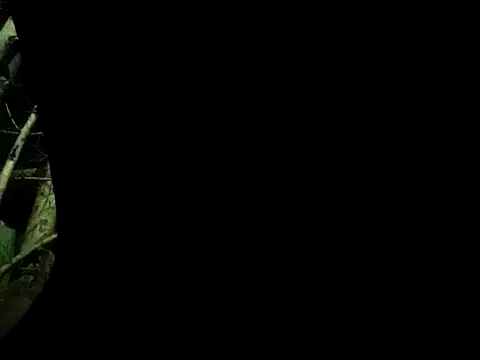 Snapshot of ConfidedAward chatting on 09-13-25, 11:21 ConfidedAward online show from 09-13-25, 11:21