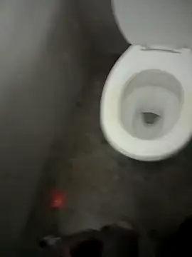 Snapshot of paptsimo chatting on 12-13-25, 07:53 paptsimo online show from 12-13-25, 07:53