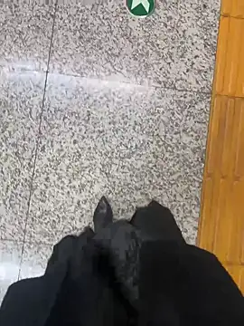 Snapshot of xiaoyuan01 chatting on 10-31-25, 02:45 xiaoyuan01 online show from 10-31-25, 02:45