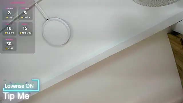 VICTORIAGRAYS online show from 11-29-25, 11:24