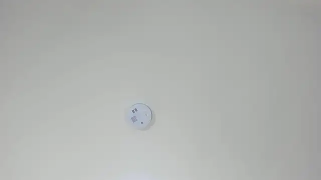 pamemiller1 online show from 10-23-25, 02:33