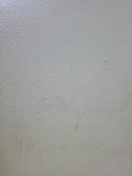 titooritax online show from 11-01-25, 11:29