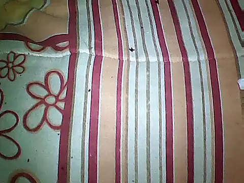 20cmloiro online show from 09-16-25, 03:51